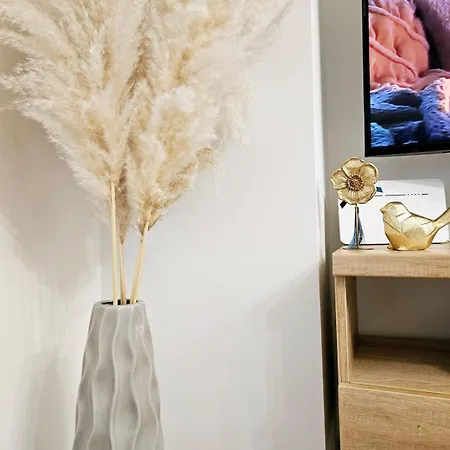 公寓 Old Town Serenity Breeze Prime Location